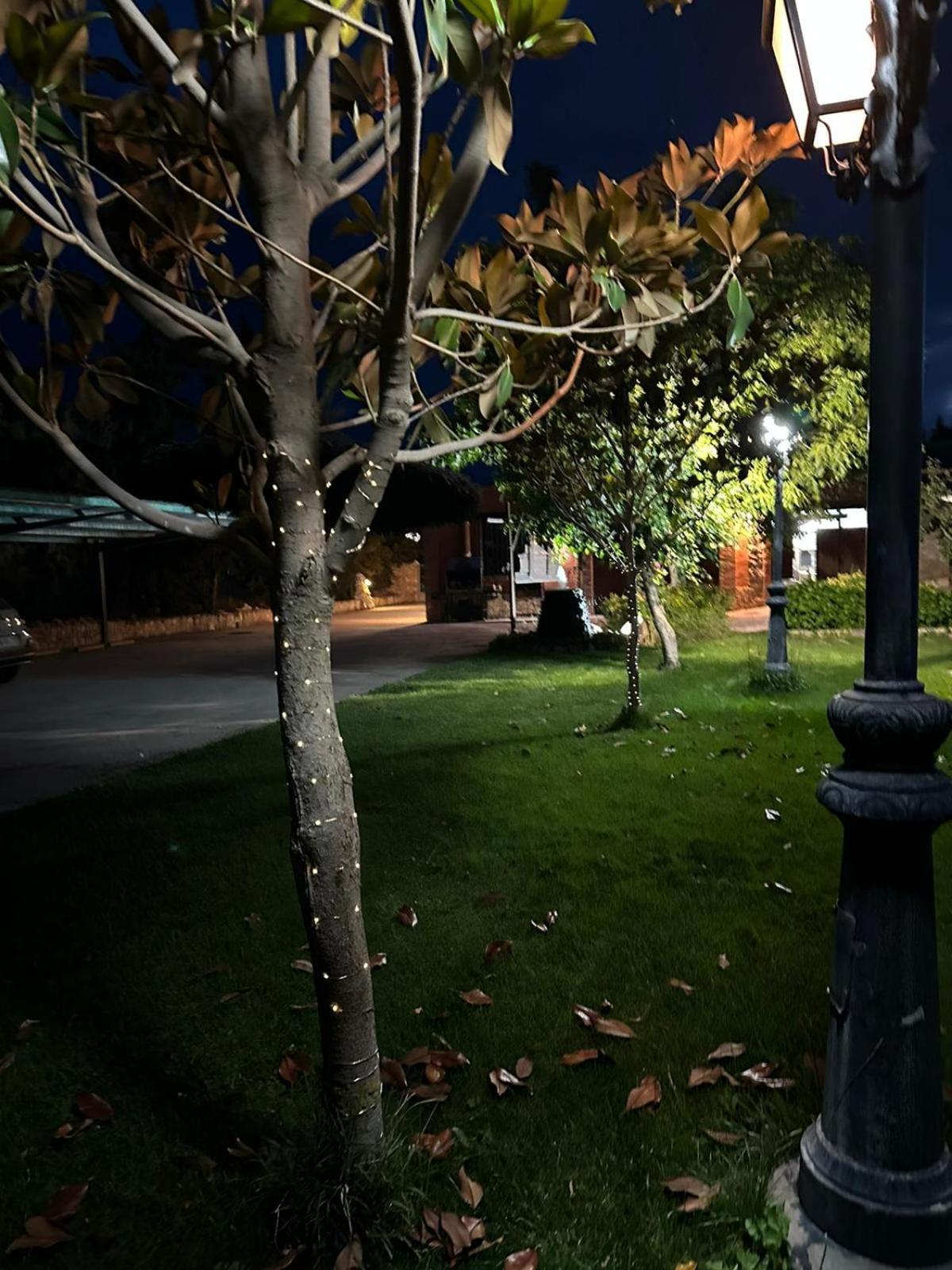 Hostal Rincon Del Cierzo Lécera Exterior foto
